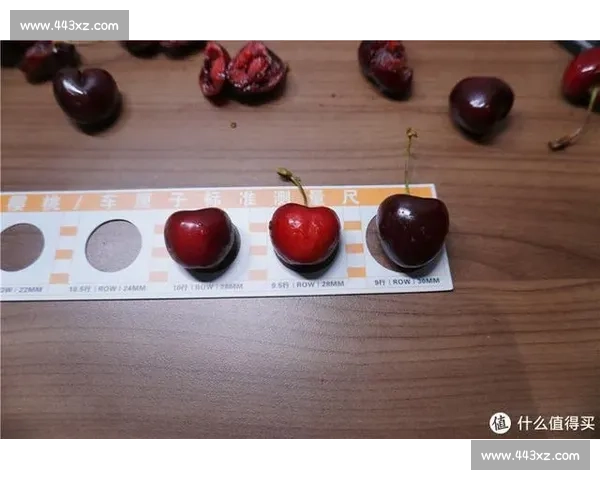 他说的是实话吗?3 个维度教你辨真伪 他说的是实话吗?3 个维度教你辨真伪